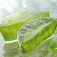 Aloe vera : ce qu’il faut savoir sur ses effets et ses risques