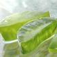 Aloe vera : ce qu’il faut savoir sur ses effets et ses risques