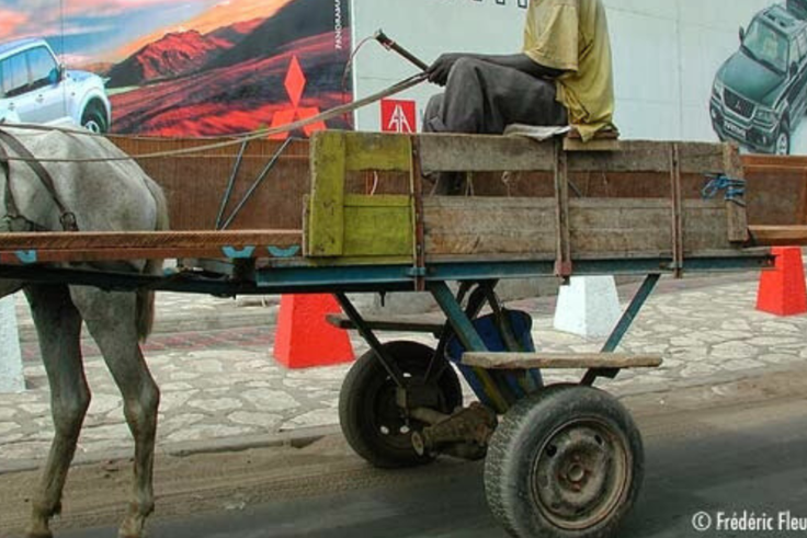 Diamaguène-Sicap Mbao : un charretier arrêté pour viol présumé sur une déficiente mentale