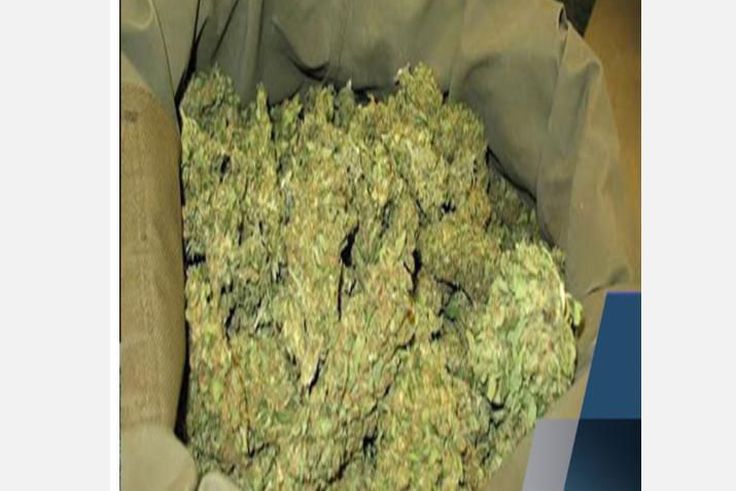 Kaolack : la Brigade des stupéfiants met la main sur 83 kg de chanvre indien