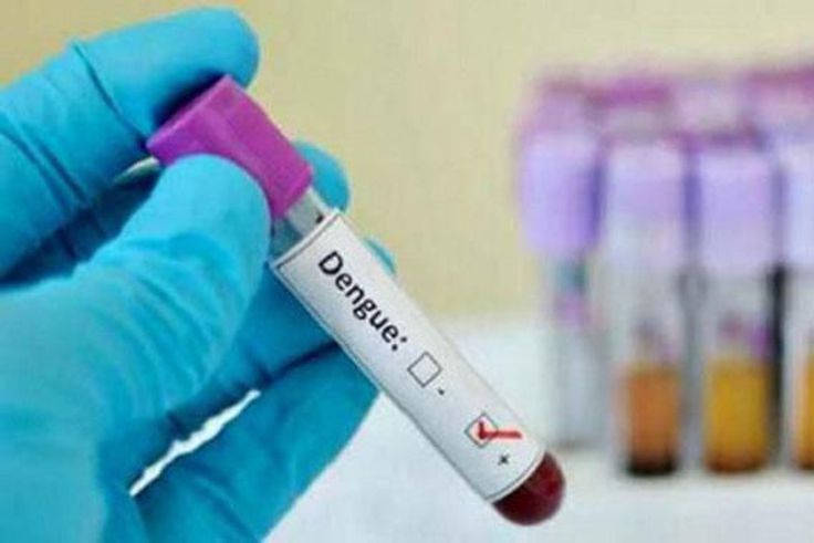 Kaolack : lutte contre la dengue après la détection de cas confirmés