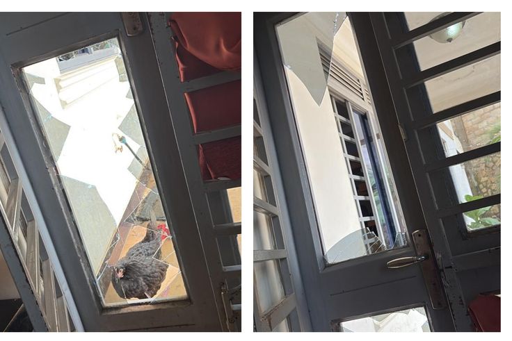 Weasel's home attacked as music gang violence escalates 