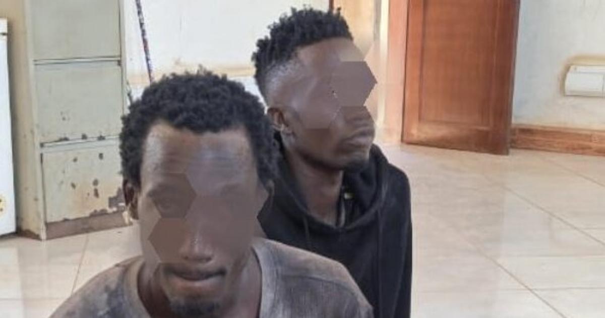 Men who stole woman's phone during King Saha concert arrested