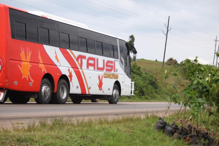 Government bans bus return trips amid Christmas carnage fears