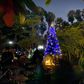 Emin Pasha Hotel launches festive season with Christmas Tree lighting event