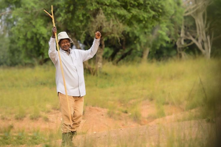 I am likely to live up to 100 years – Museveni