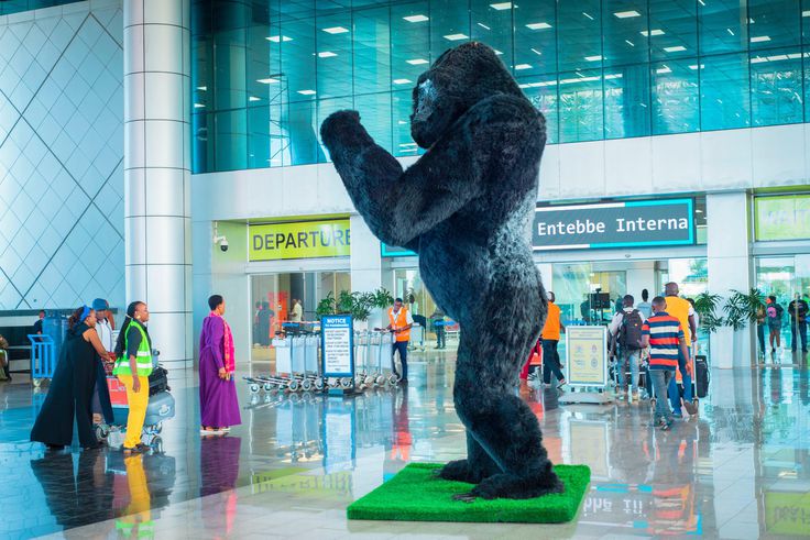 Uganda’s silverback Ruhondeza honoured with sculptures at Entebbe Airport