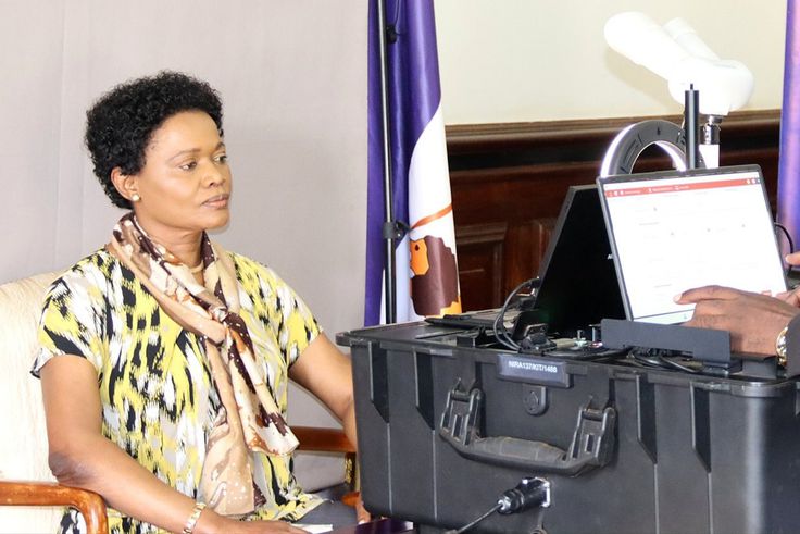 2 advantages of online pre-registration before visiting NIRA