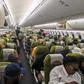 Over 200 South Africa-born children repatriated; returnees receive national IDs