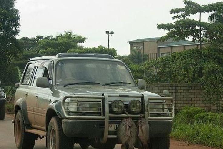 Government suspends automated traffic fines