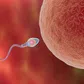 5 male fertility myths you should stop believing