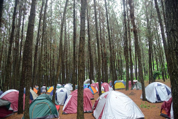 Unforgettable Ndeku Nyama Choma Festival in pictures 