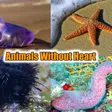 5 creatures that can live without a heart 