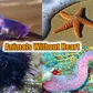 5 creatures that can live without a heart 