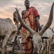 Uganda evicts South Sudanese pastoralists from Amuru