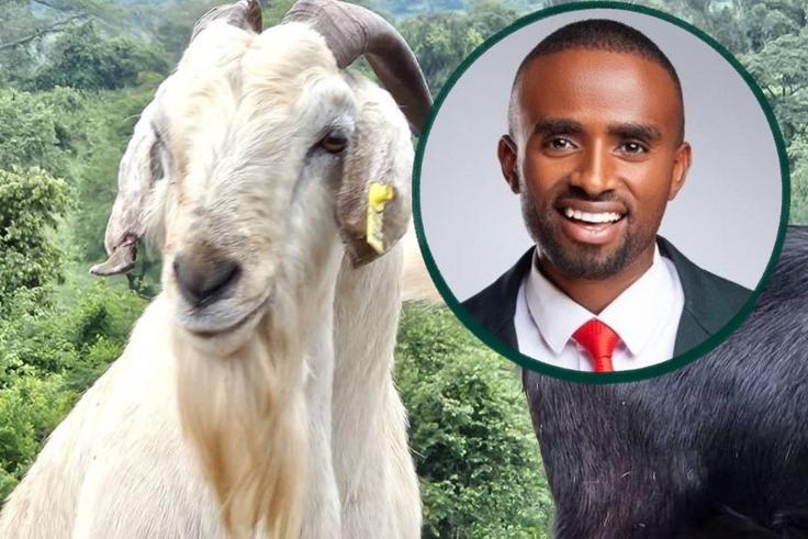 We can't assure you your money is safe with YPA - Government