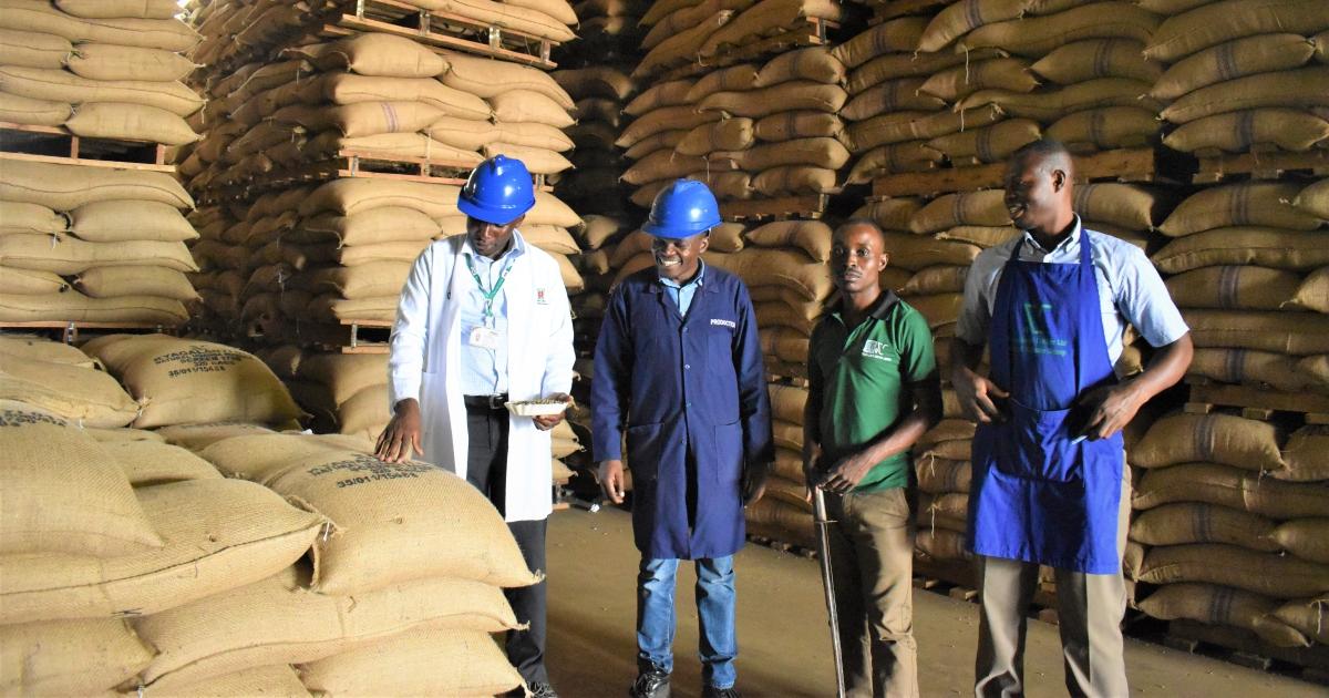 Uganda grows it, others brand it: the hidden cost of weak export ...