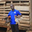 Nyombi's journey from accounting to poultry success