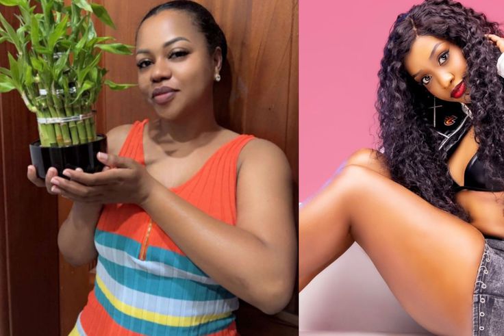 Zuena on Lynda Ddane: ‘People are fighting silent battles’