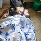 Former Cranes midfielder Mike Sserumaga fights for life at Mulago