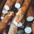 Several hospitalised after eating ‘poisonous’ cassava in Kibuku