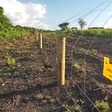 Suspected poachers cut five kilometres of Murchison Falls park fence