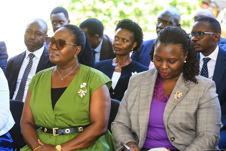 UEDCL gets license to replace Umeme