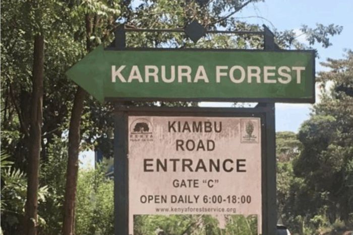 Karura Forest