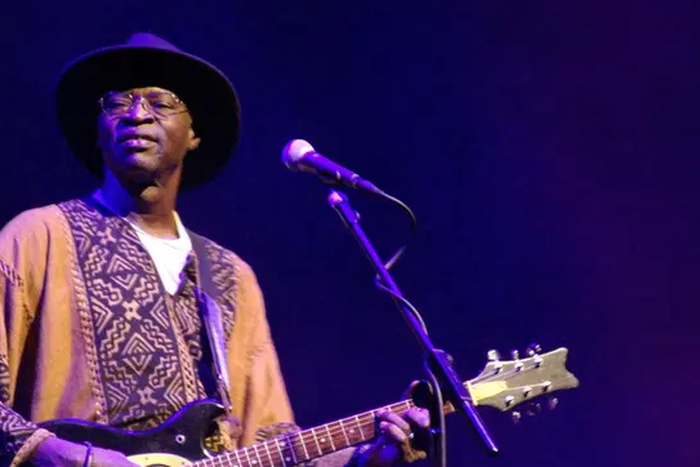 African instrumentalists who won Grammys without singing || Ali Farka Touré