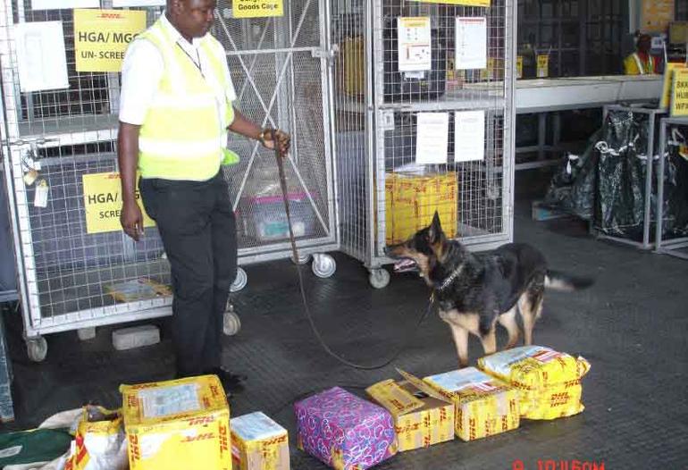 Customs officers use sniffer dogs to examine flagged luggage at JKIA, Nairobi (Image: Files)