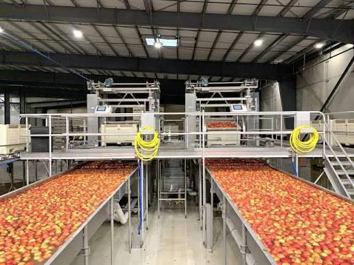 The World Bank says delayed VAT refunds are tying up working capital for horticulture businesses (Image: Files)
