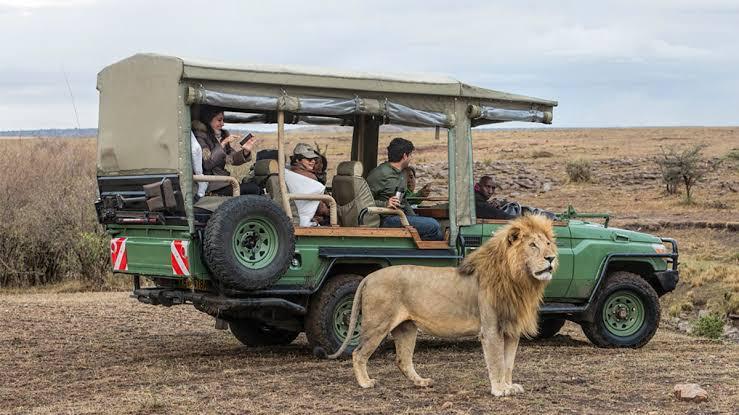 The World Bank estimates targeted reforms could unlock another Sh46.7 billion in investment and 14,000 jobs in the tourism sector (Image: Files)