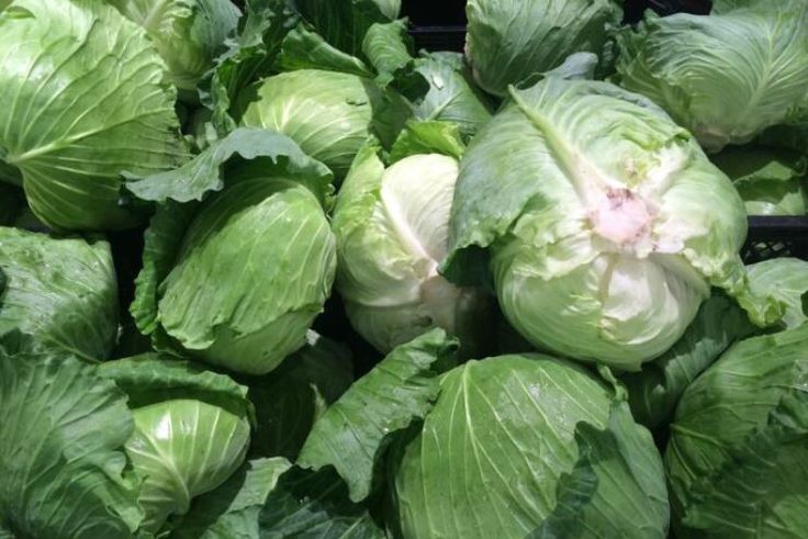 Make cabbage great again in January with this recipe for sautéed cabbage