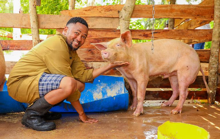 Pig farming is one of Kenya's fastest-growing and most lucrative livestock agribusinesses due to a continuous domestic market supply deficit (Image: Files)