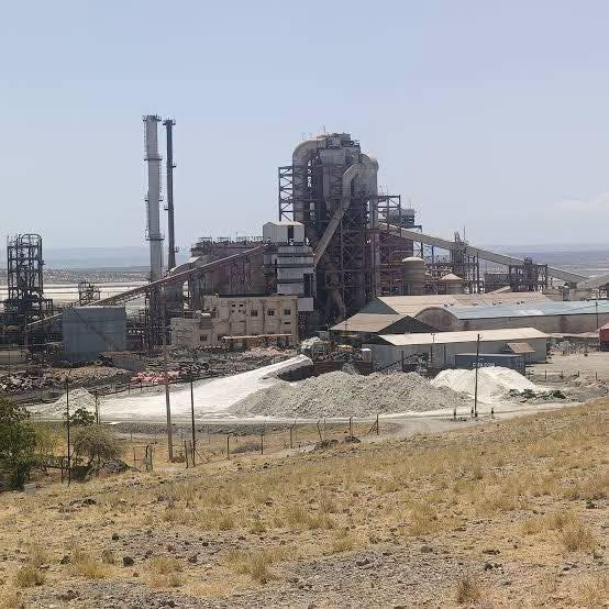 Established in 1911, the company has spent over a century mining trona (sodium sesquicarbonate) from the unique surface deposits of Lake Magadi, located in the Great Rift Valley (Image: Files)