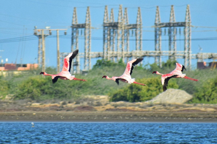 Tata Chemicals plant in Lake Magadi. (Image: Tata Chemicals)