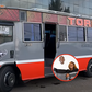 Route Njugush's new matatu 'Toria' will operate