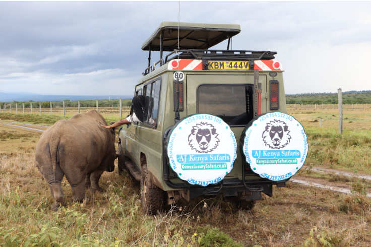 Why Kenyan corporates are trading boardrooms for the Mara in 2026