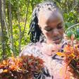 Inside the new law on Miraa: Meru takes on cartels