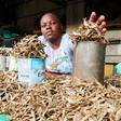 How to cook Omena: A simple guide to Kenya's tiny fish with big benefits