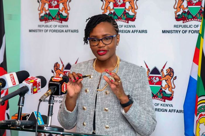 Roseline Kathure Njogu, the Principal Secretary, State Department for Diaspora Affairs