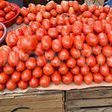 Cycle behind high tomato prices and why the pattern keeps repeating