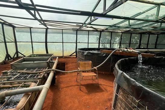 A - RAS uses only 2–5% of the water required by conventional ponds, making it ideal for dry regions (Image: Files)