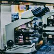 The expanding research landscape of a Lipolytic Peptide