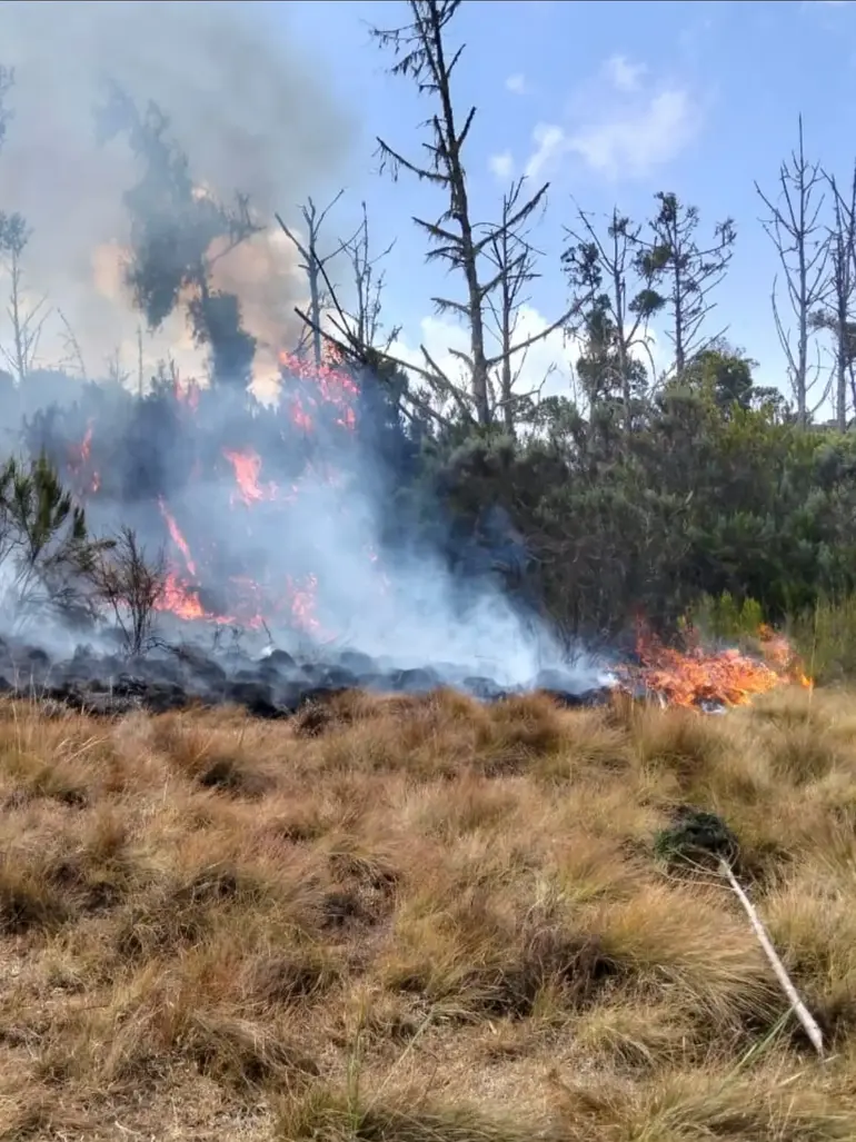 Part of Mount Kenya engulfed in flames as firefighters battle the raging inferno