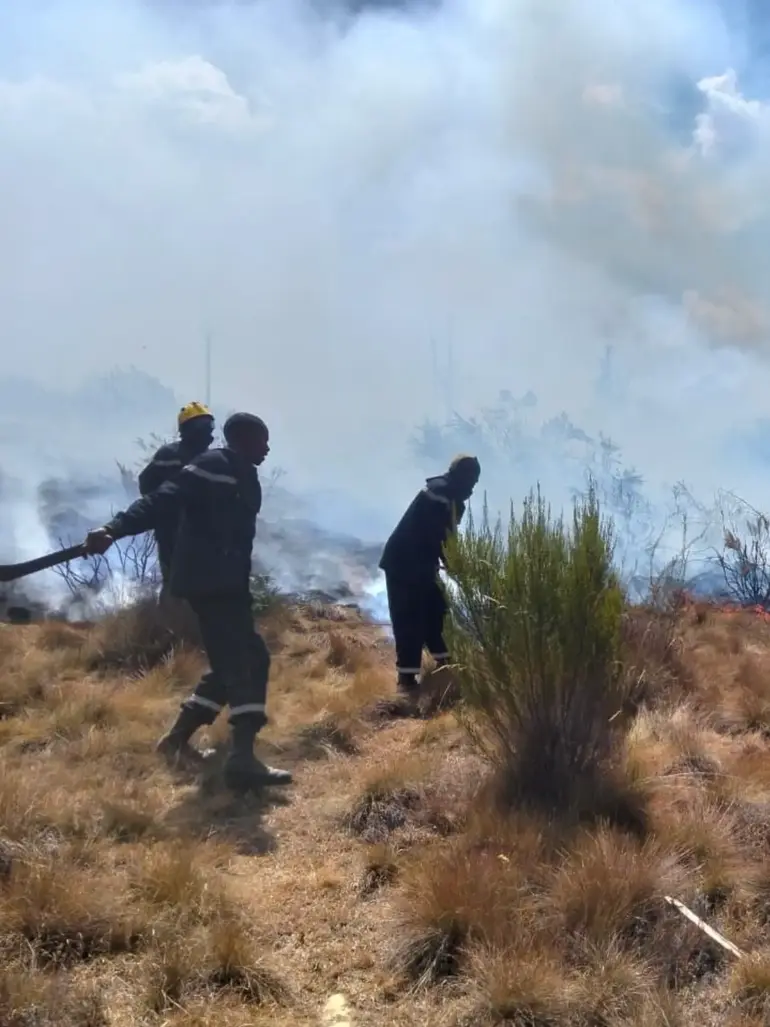 Part of Mount Kenya engulfed in flames as firefighters battle raging inferno