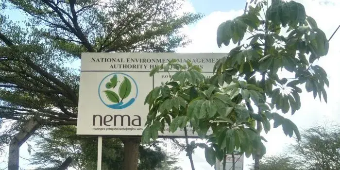 NEMA offices