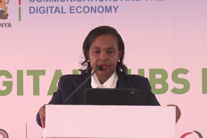Margaret Ndung’u, the immediate former Cabinet Secretary for ICT