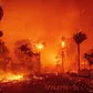 Los Angeles area is currently grappling with devastating wildfires