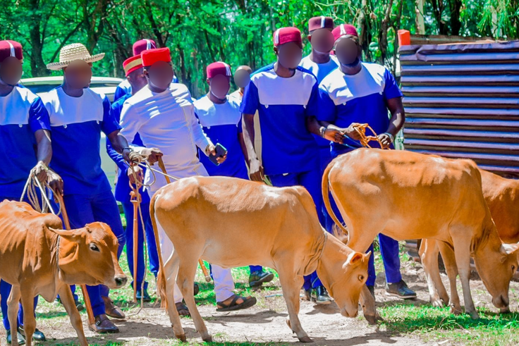 4 stages that seal a Luo marriage: Tradition, culture, and ceremony